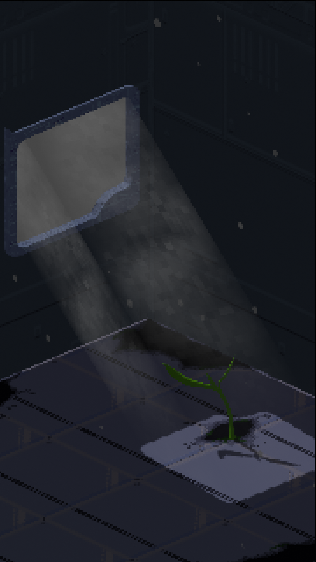 plant emerging for sunlight